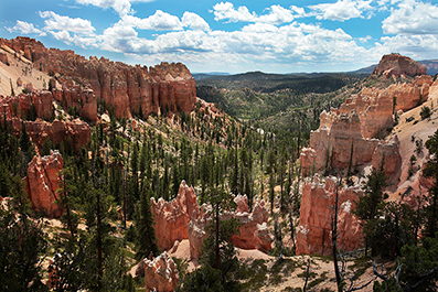 Bryce Canyon : Utah : Landscape Photos : Richard Moore : Photographer